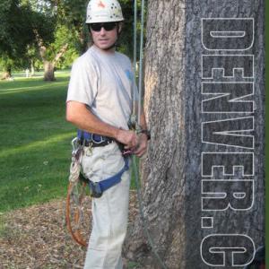 Blue Sky Tree Service