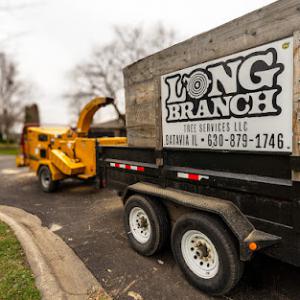 Long Branch Tree Service