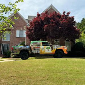 Atlanta R Tree Service & Landscaping Professional