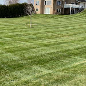 Koehler's Yard Service