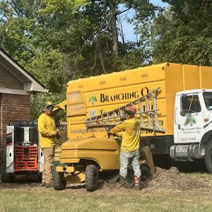 Branching out tree services