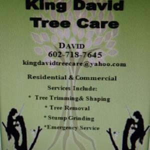 King David Tree Care