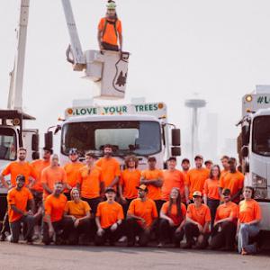 Seattle Tree Care