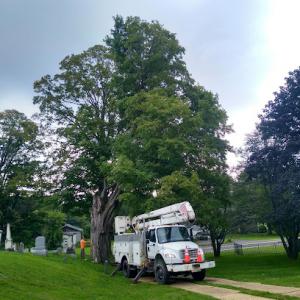 One Stop Tree Service