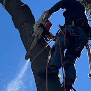 Leaders & Lines Contractors