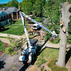 Rite-A-Way Tree Service