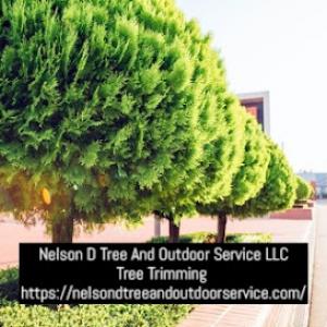Nelson D Tree & Outdoor Service