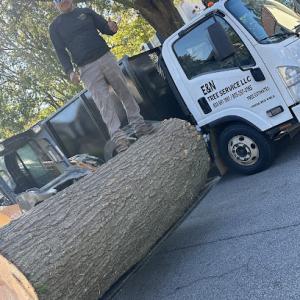 E&N tree service