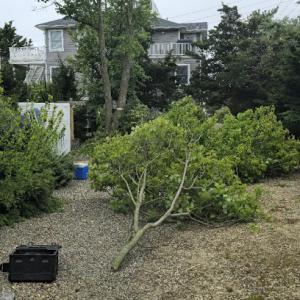 Sandoval Brothers Services