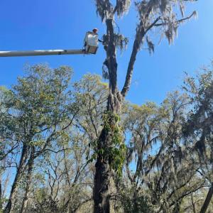 Grasshopper Earth Services