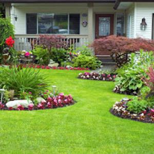 All About The Trees & Landscaping