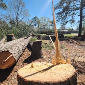 Gregalls Tree Service