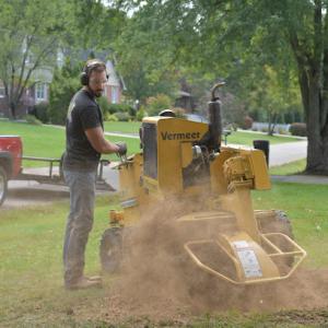 Precision Stump Grinding