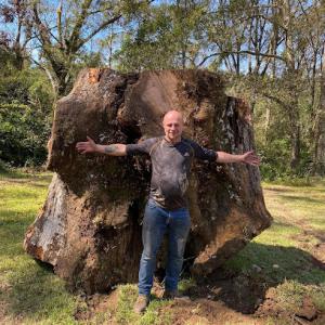 Mallett’s Llc Tree Service