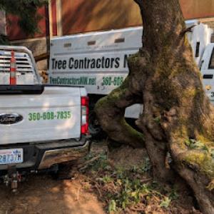 Tree Contractors Northwest
