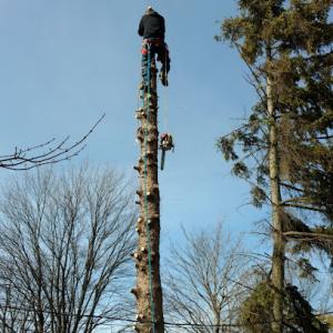 Northern tree service & Snow Plowing