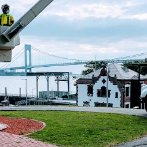 Lowest Price Tree Service & Arborist Consulting