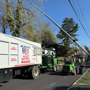 USA Pro Tree Service
