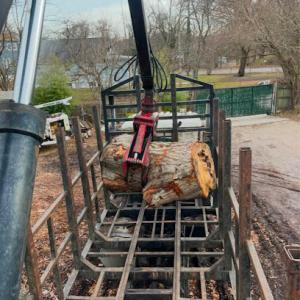 Gold Coast Tree Experts