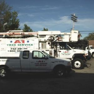A1 Tree Services
