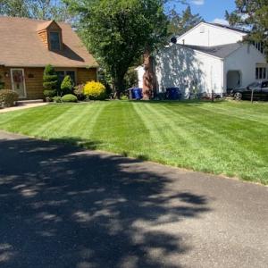 Ras Tico Inc Landscaping & Tree Service