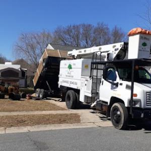 A & C Tree Services