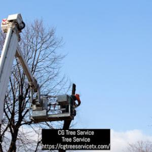 CG Tree Service