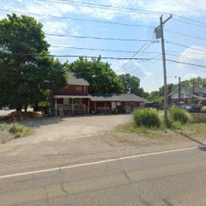 New Franklin Tree service