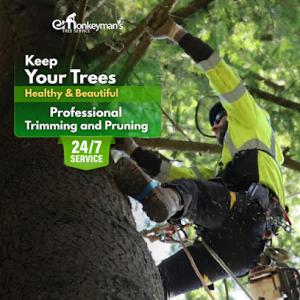 Monkeyman's Tree Service
