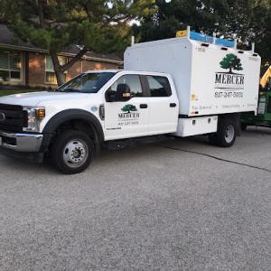 Mercer Tree Service