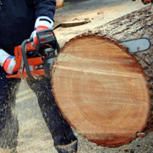Soriano Landscaping & Tree Service