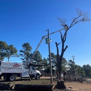 Trees N Scapes Unlimited