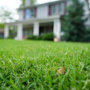 Pro Turf & Pro Pest Solutions - O'Fallon