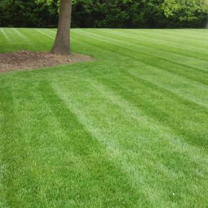 PLC Outdoor Services - Professional Lawn Care, Landscaping & Tree Service