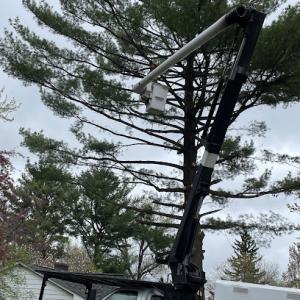 Bonecutters Tree Service