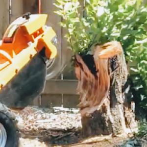 STUMP grind THE YARD