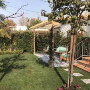 Exoticus Botanicus Landscape Design