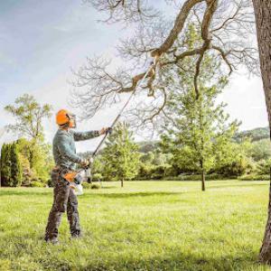 The Best Garden & Trees Services