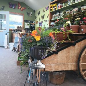 Nature's Touch Garden Center