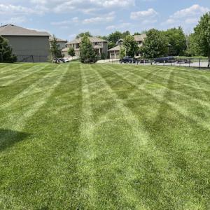 Jesse's Great Lawncare & Landscaping