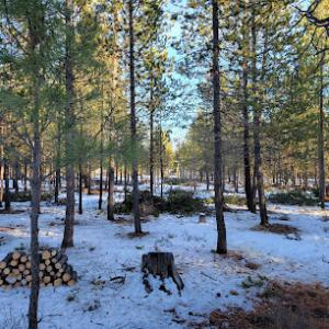 DSE Defensible Space Experts