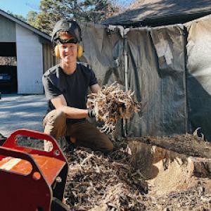 Ollie's Stump Grinding
