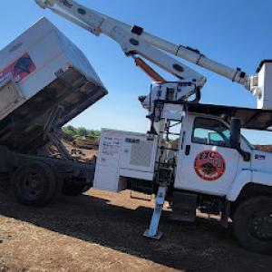 EZC Tree Service