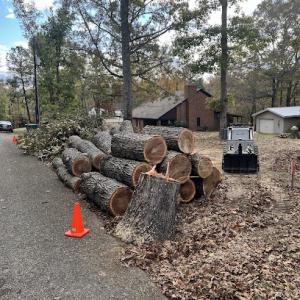 Top Notch Tree Service
