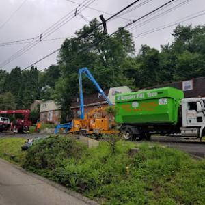 Greater Pitt Tree Service