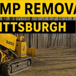 Stump Removal Pittsburgh