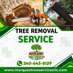 Marquez Tree Services