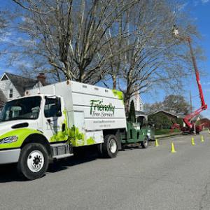 Friendly Tree Service