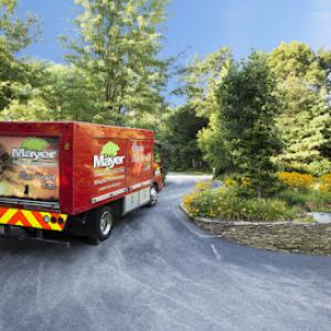 Mayer Tree Service