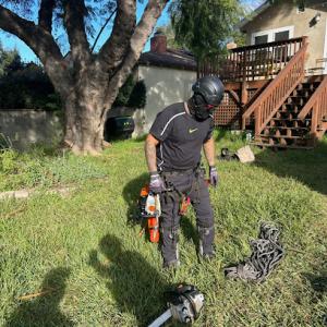 Sanchez Tree Service